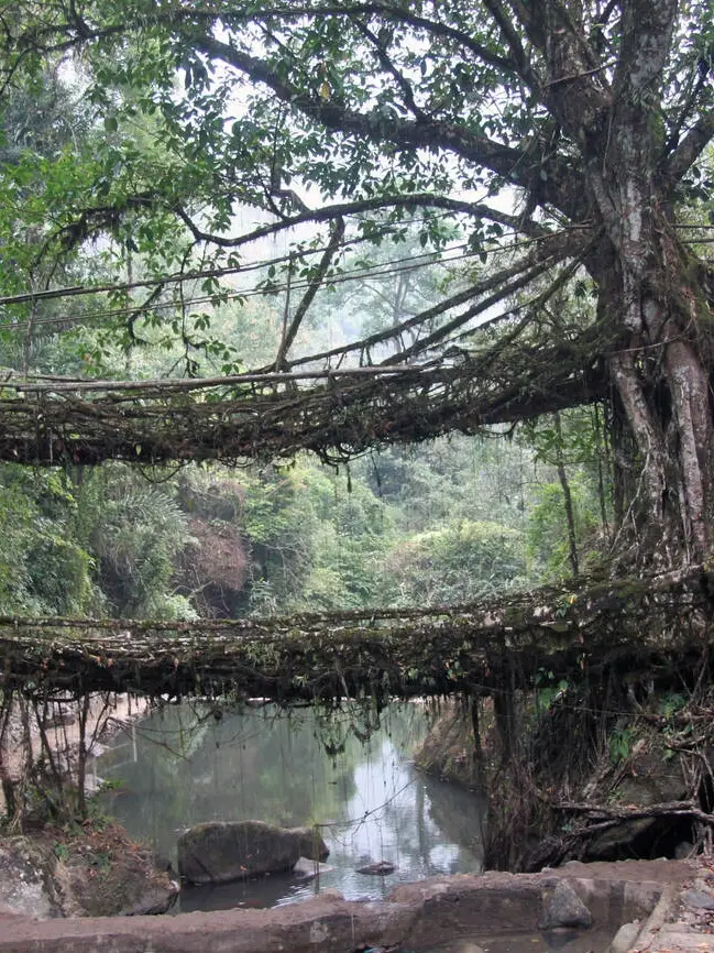 5N/6D Backpacking trip to Meghalaya