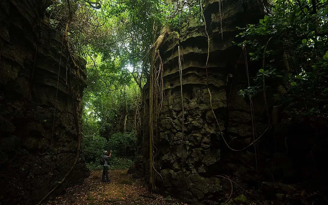 Explore Caves In Meghalaya: A Guide For Adventurous Caves