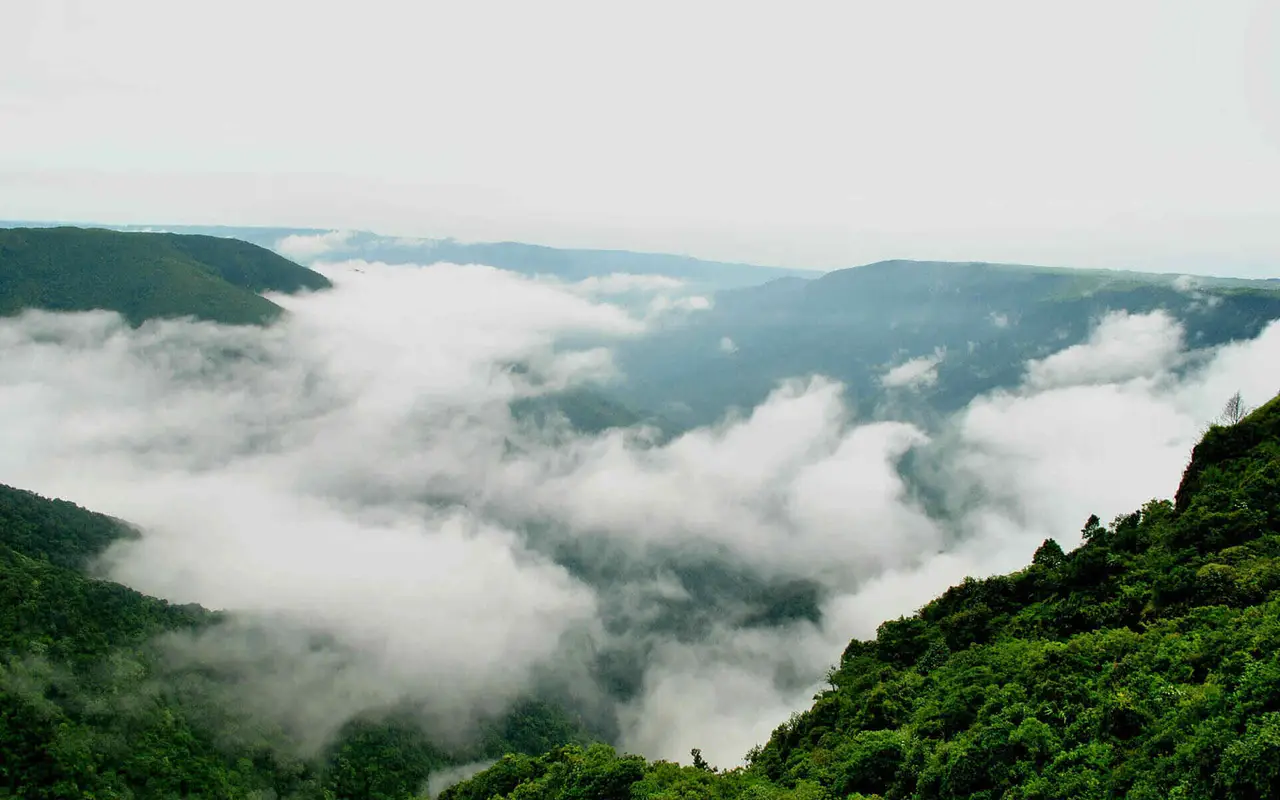 The offbeat thrilling plan to Meghalaya in Monsoon