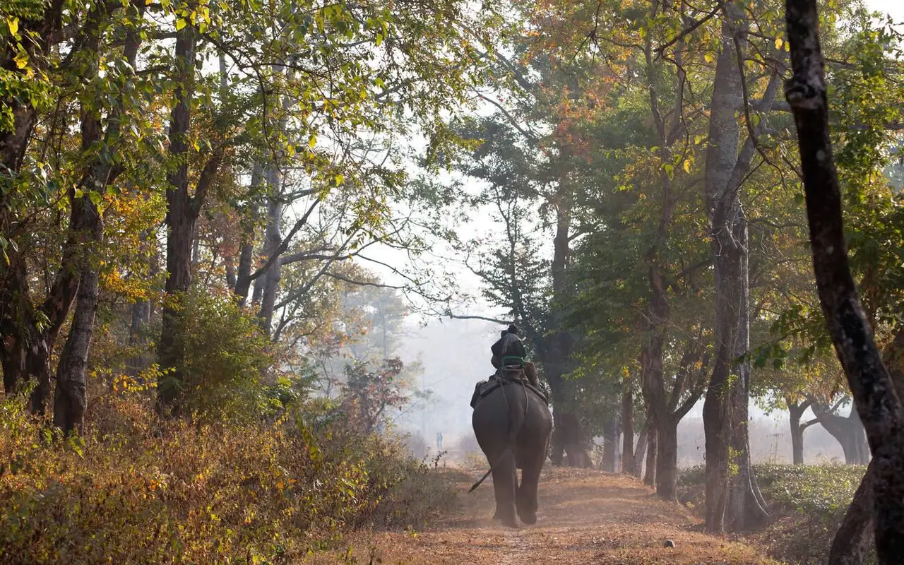 Best time to visit Manas National Park
