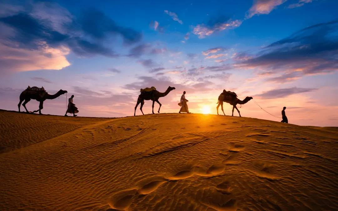 Best Rajasthan itinerary for 7 days