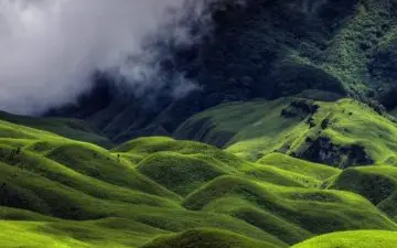 Everything You Need To Know About Amazing Dzukou Valley Trek : Complete Guide