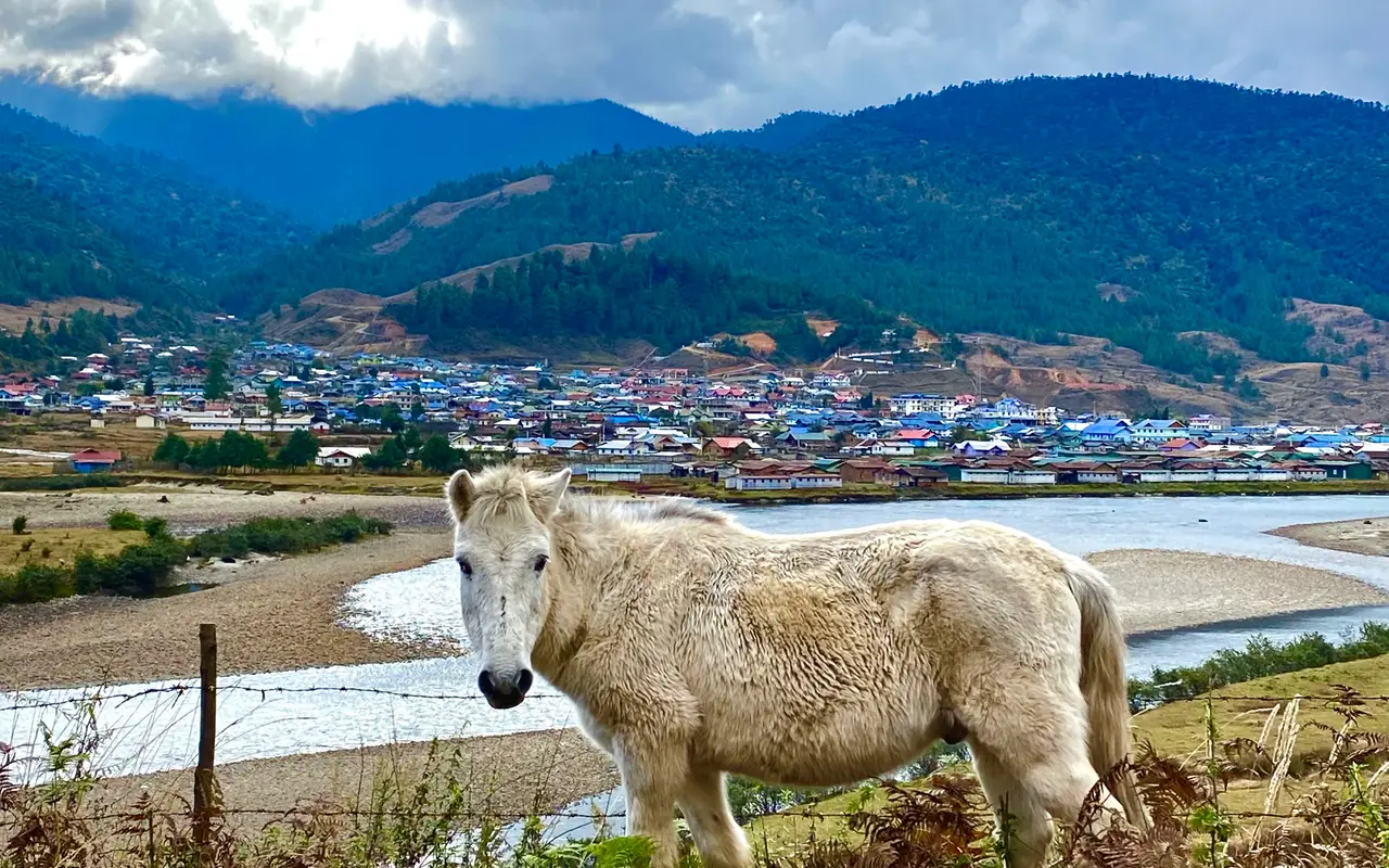 Mechuka Travel Guide: All You Wish To Know!