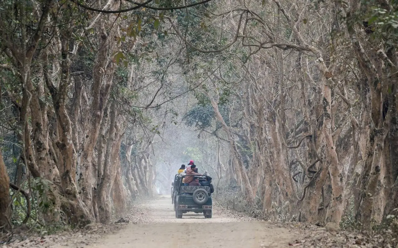 This Is The Only Assam Travel Guide You'll Ever Need!