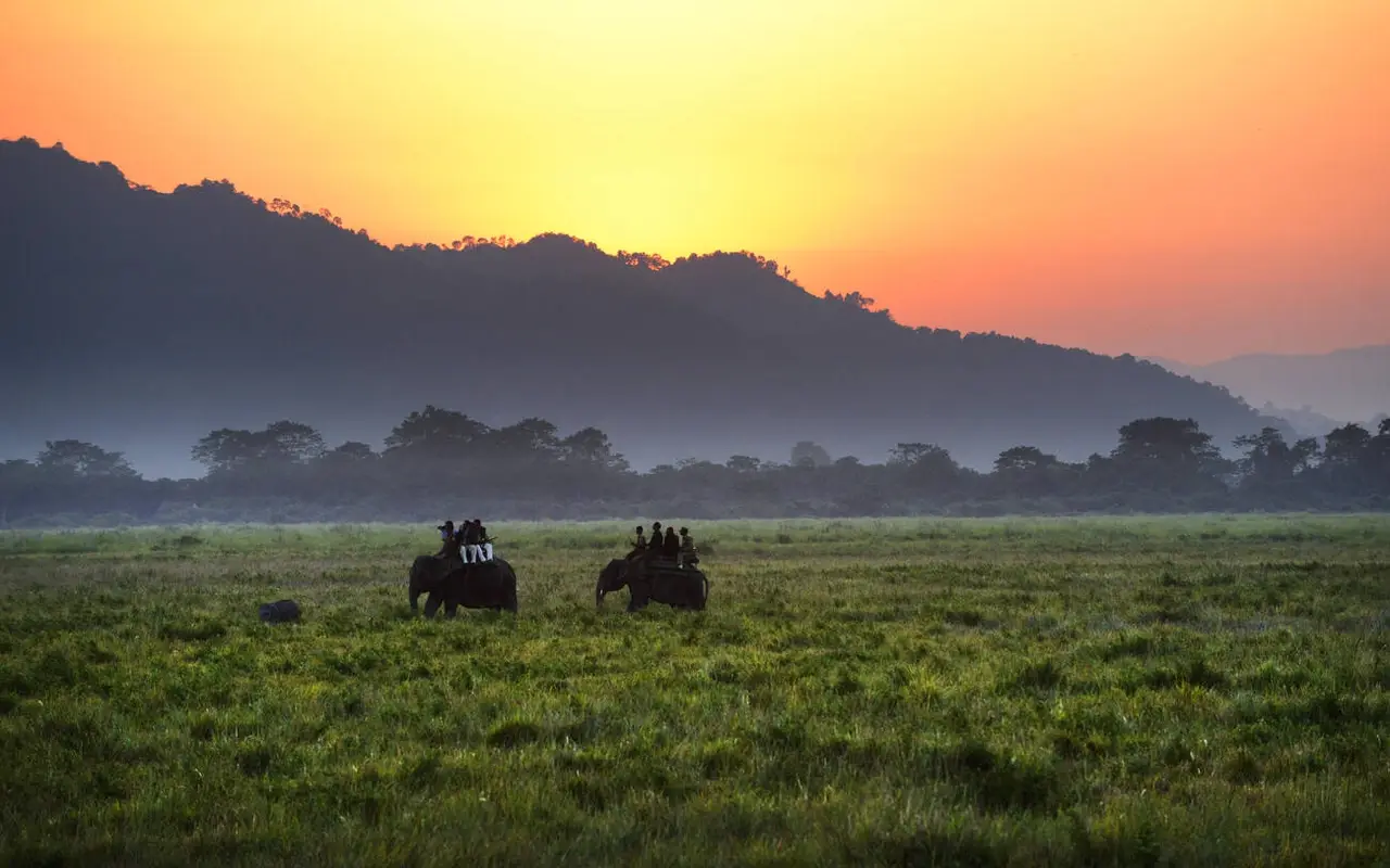Why Is Kaziranga National Park Famous For? An A-Z Guide!