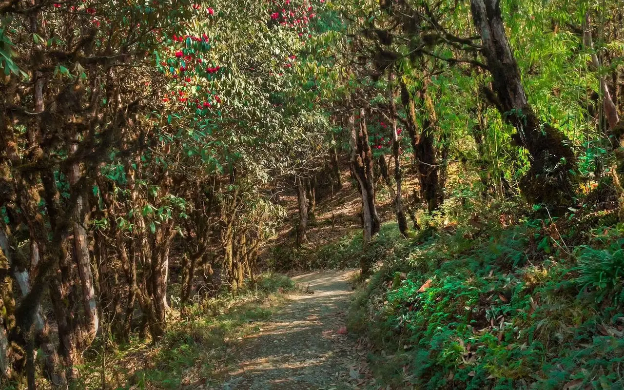 10 Best Trekking spots in Sikkim That Are Worth The Effort!