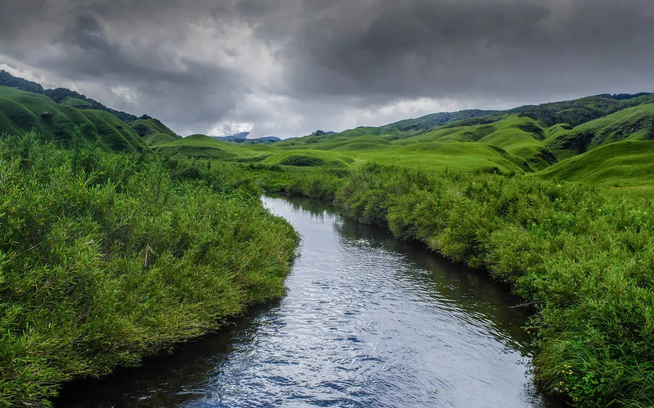 Dzukou Valley Trek: A Guide To Nagaland’s Hidden Valley!