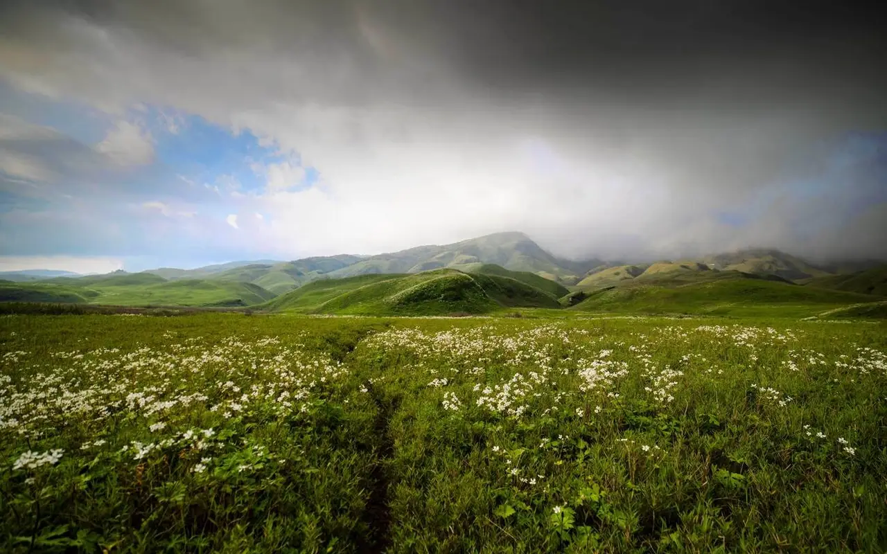 Best time to visit Dzukou Valley trek