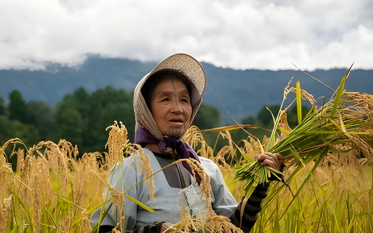 Ziro Festival Of Music- The incredible experience of Arunachal