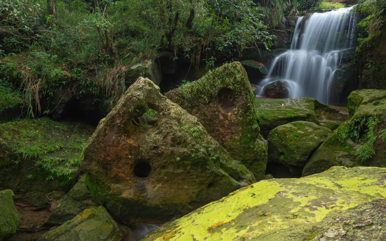 Uncovering the Incredible Garden of Caves