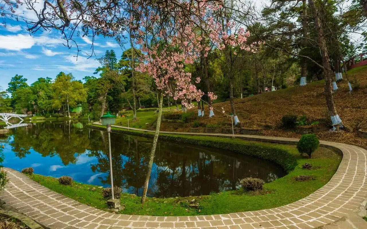 12 interesting reasons why Shillong is referred to as the ''Scotland of the East''