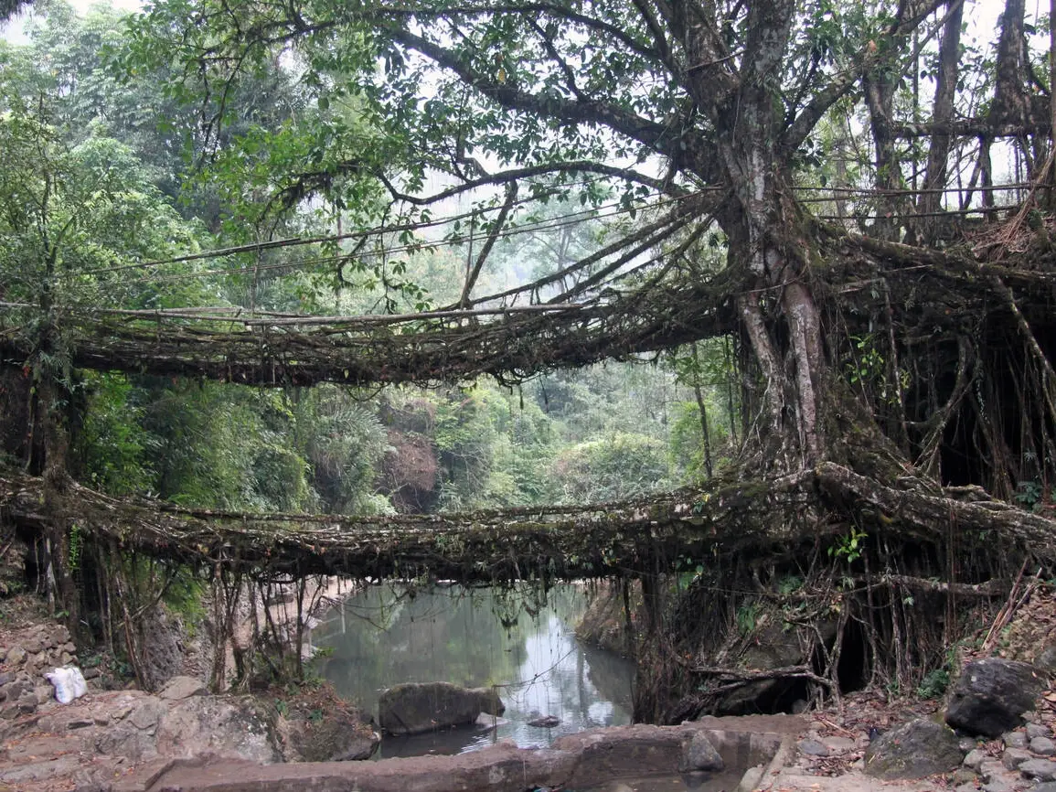 5N/6D Backpacking trip to Meghalaya