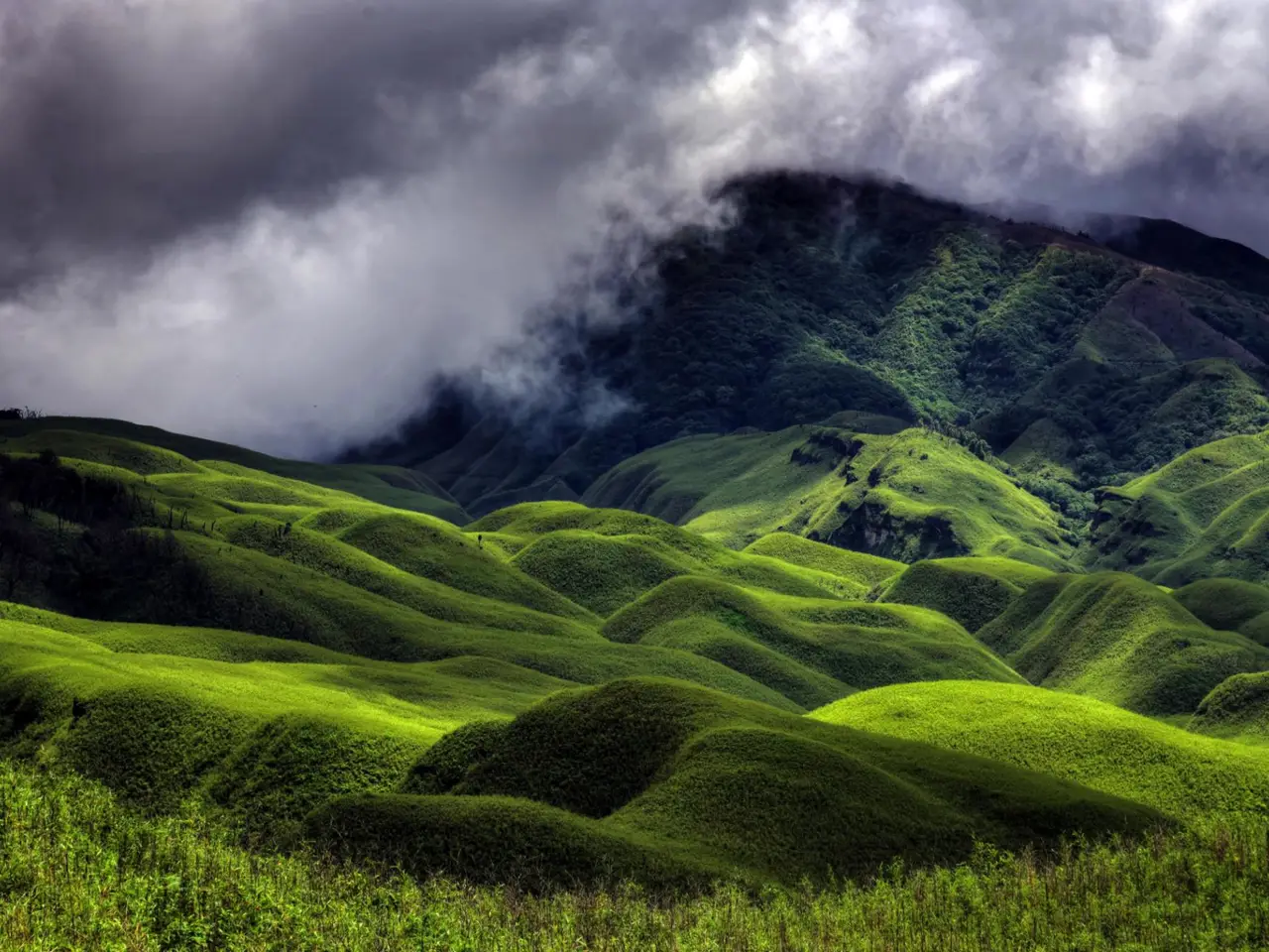 Adventurous Dzukou Valley Trek