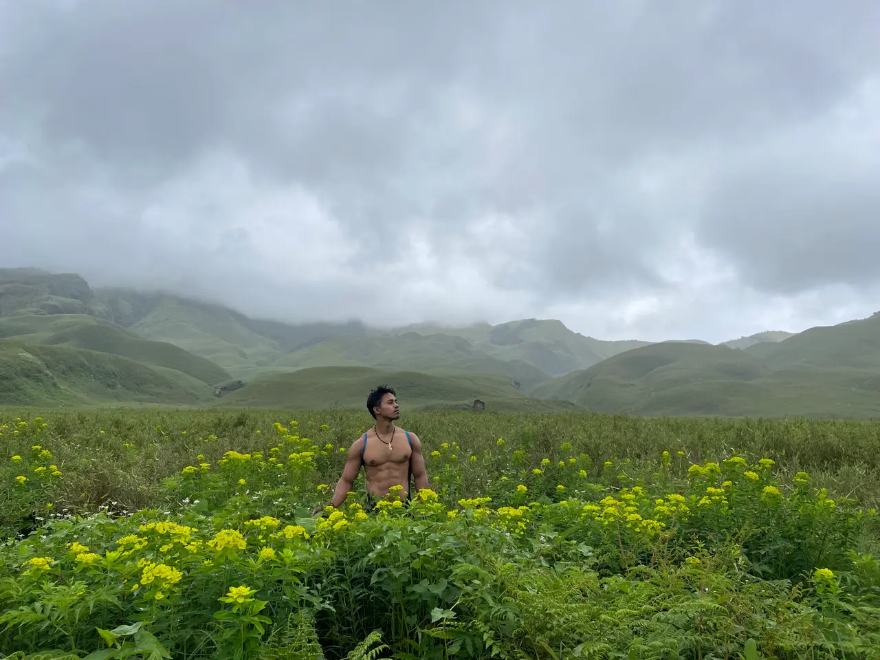2N/3D Breathtaking Dzukou Valley Package | Nagaland 2024